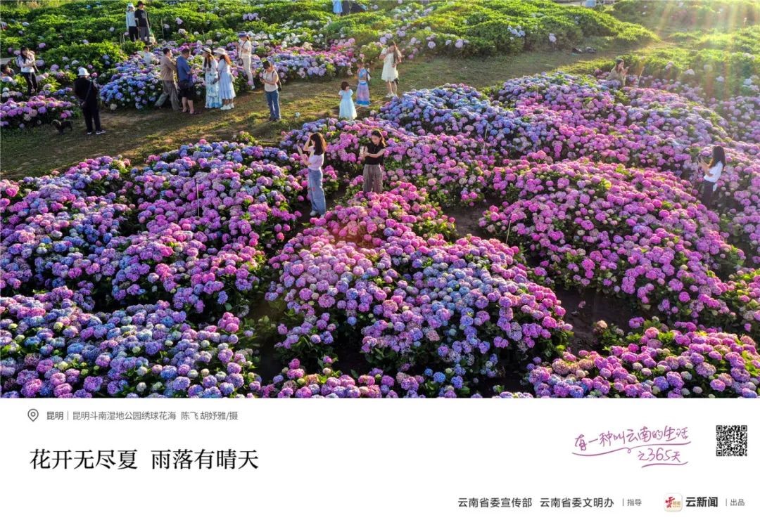 &#20048;&#40060;&#32593;&#39029;&#29256;&#30331;&#24405;&#20837;&#21475;&#45;&#20048;&#40060;&#40;&#20013;&#22269;&#41;